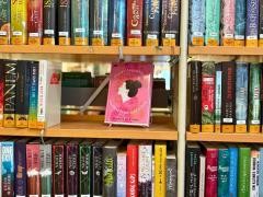 Foto eines Bücherregals. Im Fokus ist ein Buch mit rosa Cover.