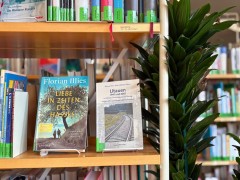 In einem Regal stehen verschiedene Bücher. Daneben steht eine Pflanze.